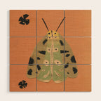 Moth I Wood Wall Art Gallery Image 1