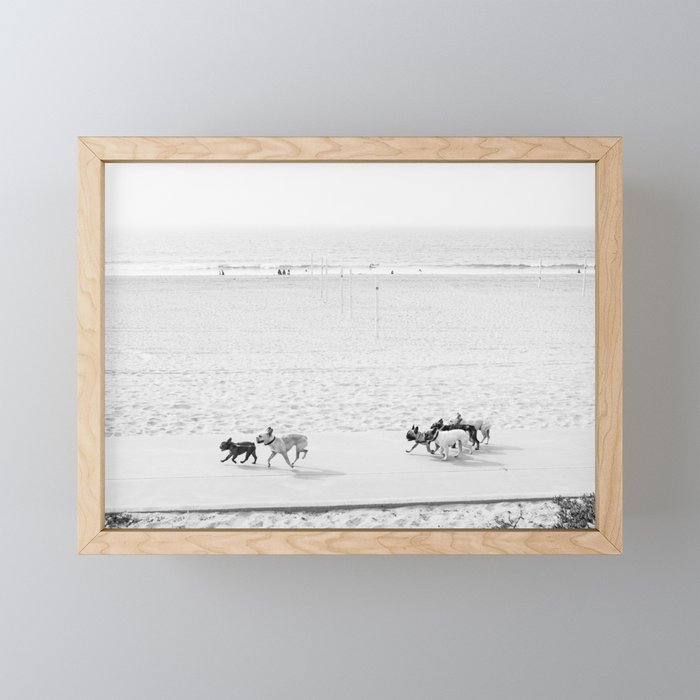 Puppy Traffic, French Bulldogs, Frenchie Art, French Bulldog Gifts Mini Art Print Gallery Image 1