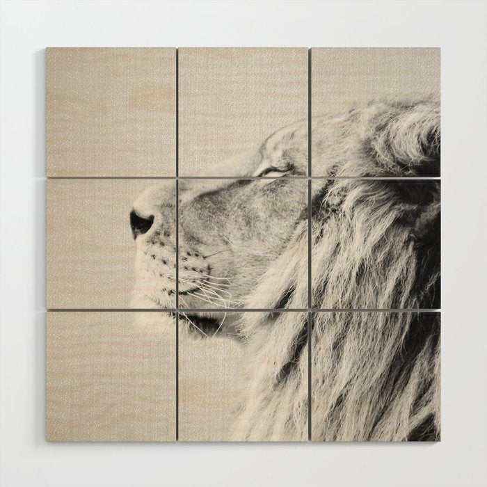 Lion Portrait - Black & White Wood Wall Art Gallery Image 1