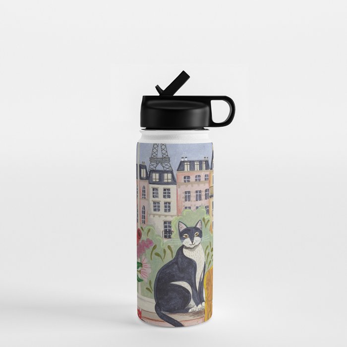Cat in front of window in Paris  Water Bottle Gallery Image 1