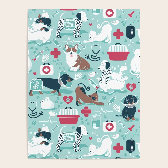Veterinary medicine, happy and healthy friends // aqua background Poster Gallery Image 4