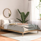 Cat and Plant 32 Comforter Gallery Image 2