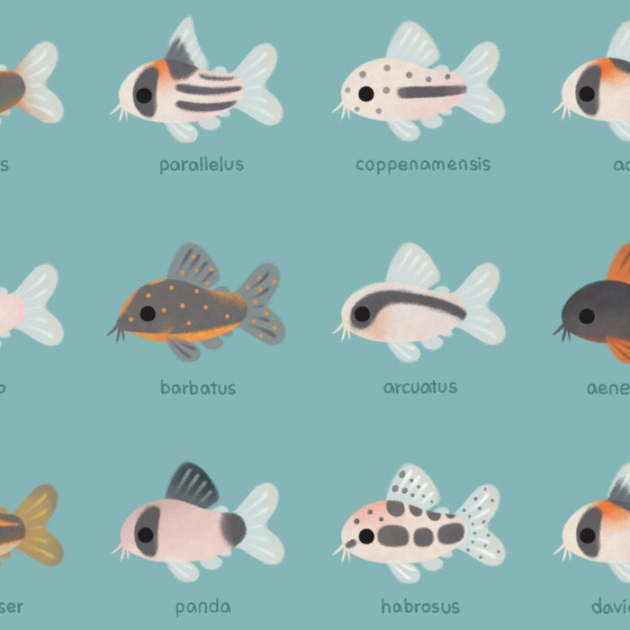 Corydoras! Coffee Mug Gallery Image 2
