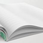 Silver Dollar Eucalyptus - Mint Palette Notebook Gallery Image 2