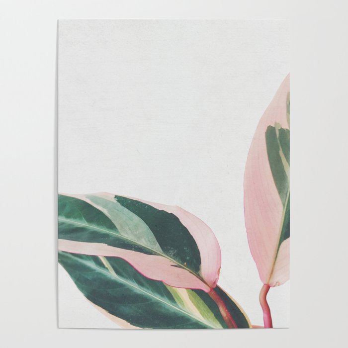 Pink Leaves II Poster Gallery Image 4