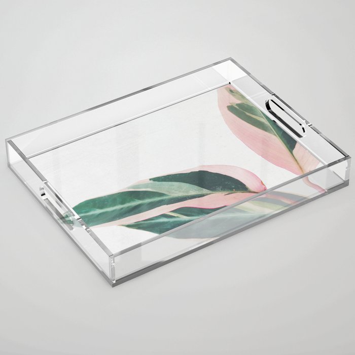 Pink Leaves II Acrylic Tray Gallery Image 1