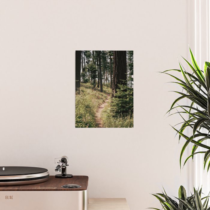 Through the Woods Poster Gallery Image 2