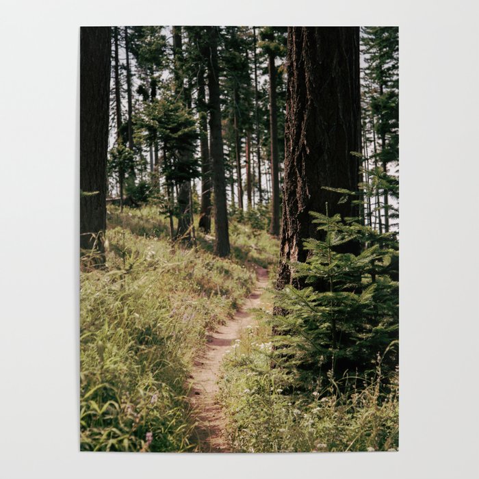 Through the Woods Poster Gallery Image 1