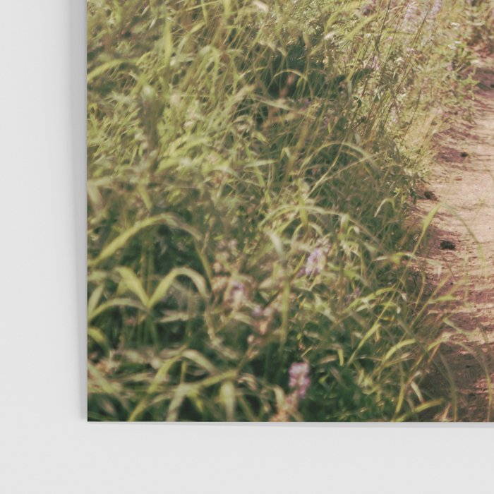 Through the Woods Poster Gallery Image 3