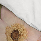 Bloom 12 Comforter Gallery Image 4