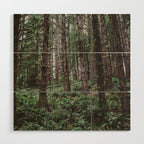 Forest Dark, Forest Deep III Wood Wall Art Gallery Image 1