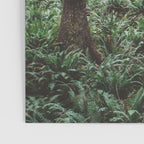 Forest Dark, Forest Deep III Poster Gallery Image 3