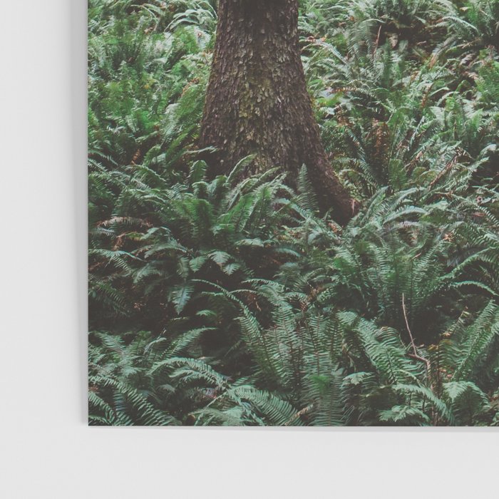 Forest Dark, Forest Deep III Poster Gallery Image 3