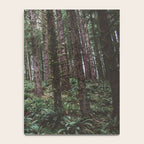 Forest Dark, Forest Deep III Notebook Gallery Image 4