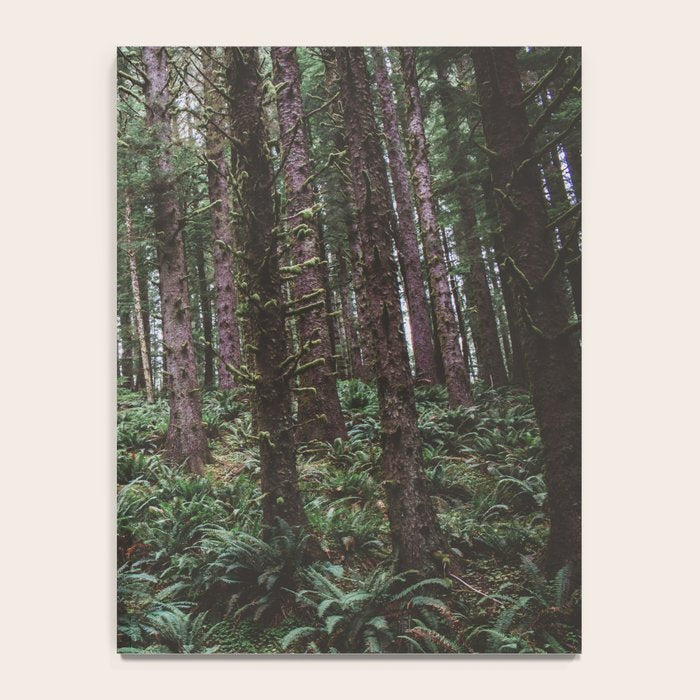 Forest Dark, Forest Deep III Notebook Gallery Image 4