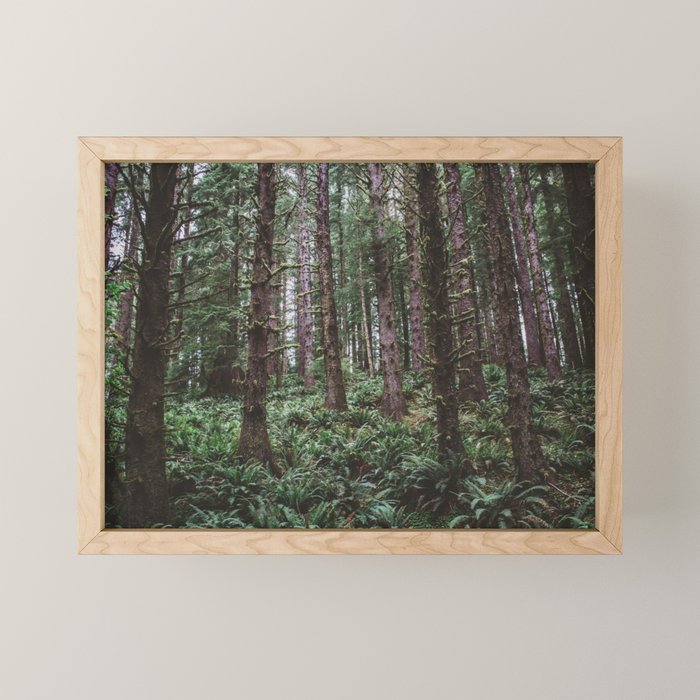Forest Dark, Forest Deep III Mini Art Print Gallery Image 1