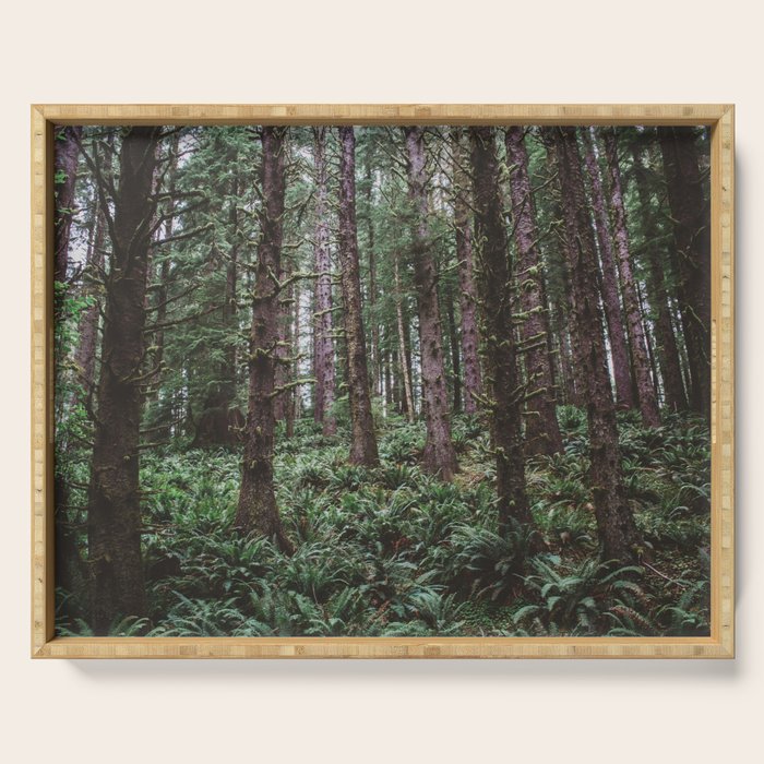 Forest Dark, Forest Deep III Serving Tray Gallery Image 1