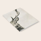 DEER Notebook Gallery Image 2