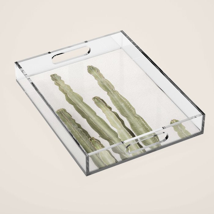Cactus Acrylic Tray Gallery Image 1