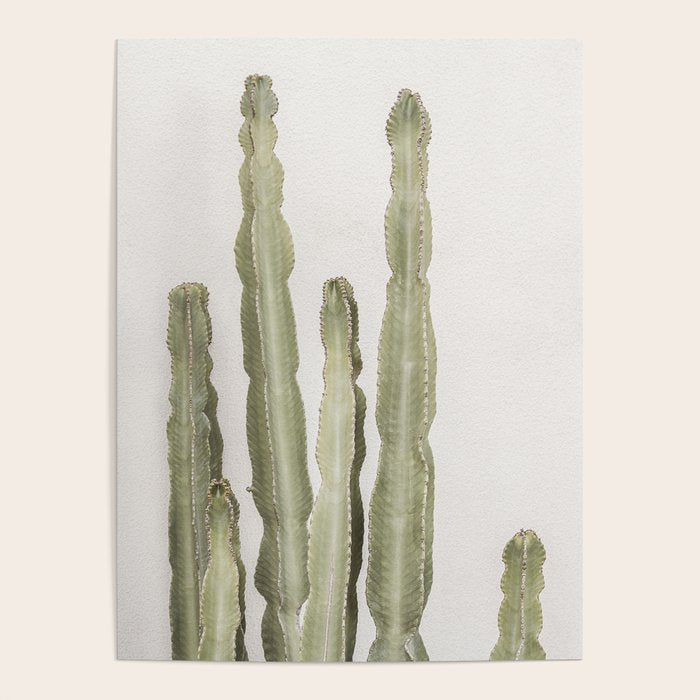 Cactus Poster Gallery Image 1