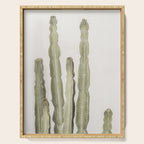 Cactus Serving Tray Gallery Image 1