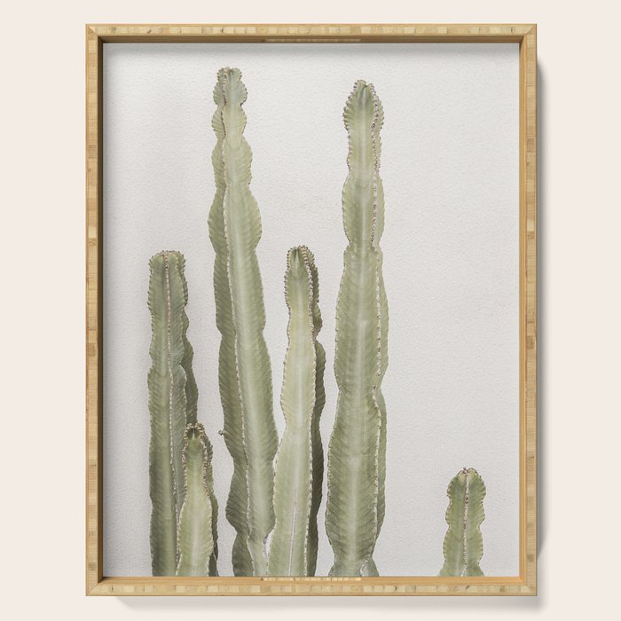 Cactus Serving Tray Gallery Image 1