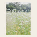 In a Field of Wildflowers Poster Gallery Image 4