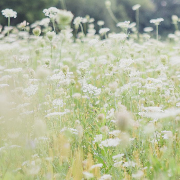 In a Field of Wildflowers Coffee Mug Gallery Image 2
