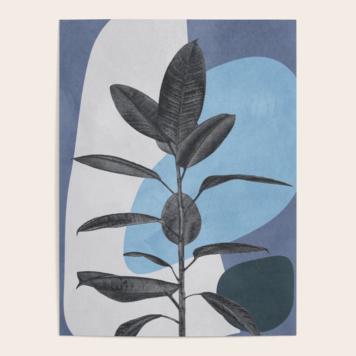 Ficus II Poster Gallery Image 4