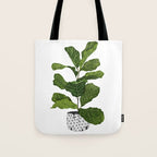 Fiddle leaf fig Tree Tote Bag Gallery Image 1
