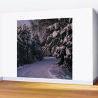 Snowy Path Wall Mural Gallery Image 2
