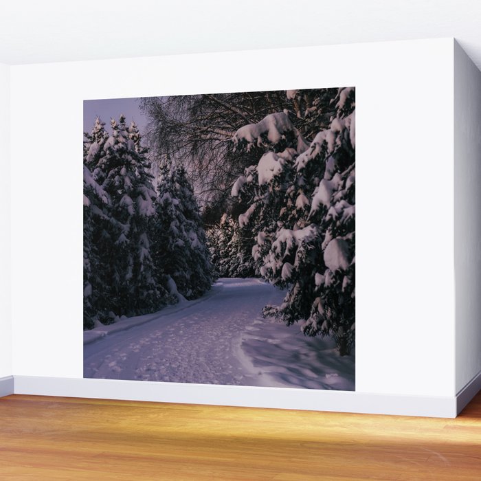 Snowy Path Wall Mural Gallery Image 2