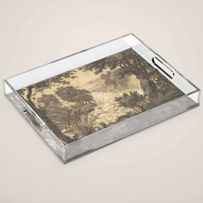 Voyage exploration en Indo-Chine-1873-Antique Landscape Tropical Jungle Tiger Acrylic Tray Gallery Image 1