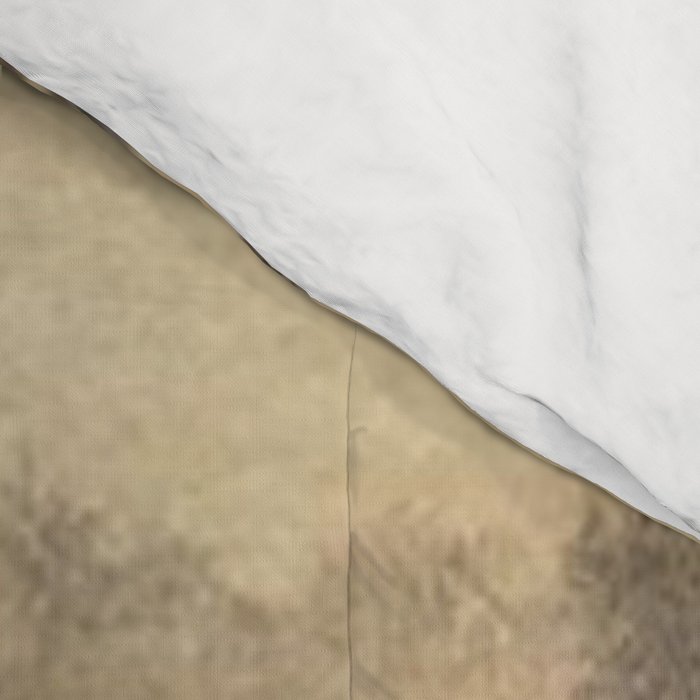 Voyage exploration en Indo-Chine-1873-Antique Landscape Tropical Jungle Tiger Comforter Gallery Image 4