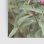 Bloom Abundantly Poster Gallery Image 3