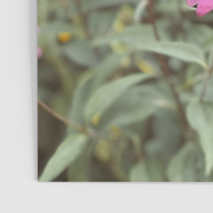 Bloom Abundantly Poster Gallery Image 3