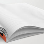 panda orange Notebook Gallery Image 2
