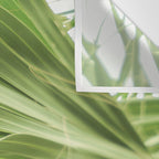 Windblown Wall Tapestry Gallery Image 3