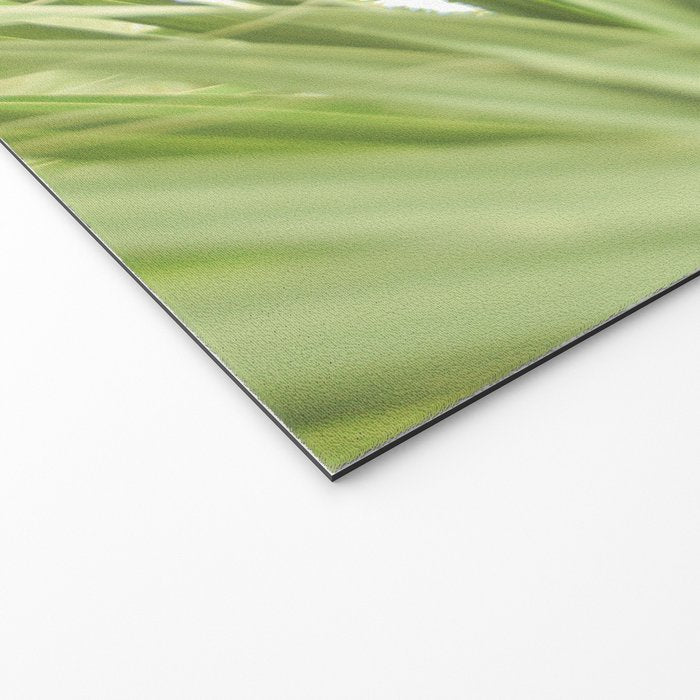 Windblown Welcome Mat Gallery Image 2
