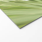 Windblown Welcome Mat Gallery Image 2