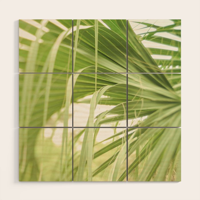 Windblown Wood Wall Art Gallery Image 1