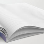 PURPLE MOUNTAINS Notebook Gallery Image 2
