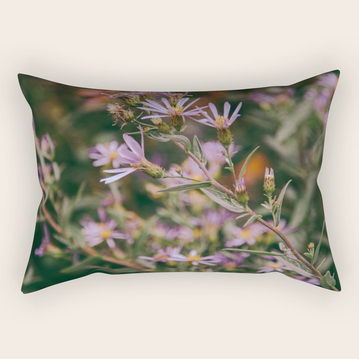 Eucephalus Ledophyllus Rectangular Pillow Gallery Image 2