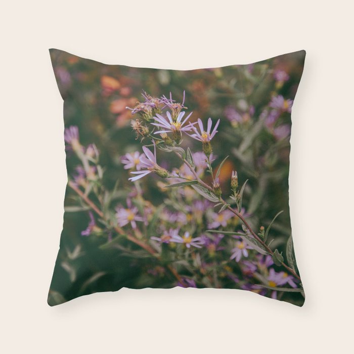 Eucephalus Ledophyllus Throw Pillow Gallery Image 6
