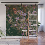 Eucephalus Ledophyllus Wall Mural Gallery Image 1
