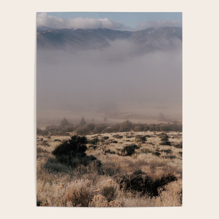 Early Morning in California Poster Gallery Image 4