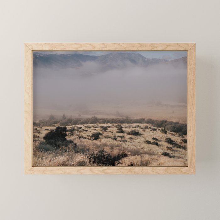 Early Morning in California Mini Art Print Gallery Image 1