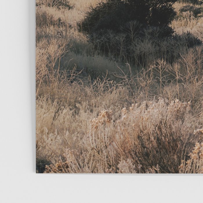 Early Morning in California Poster Gallery Image 3
