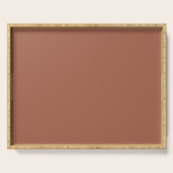 Muted Auburn Terracotta Clay Solid  Serving Tray Gallery Image 1