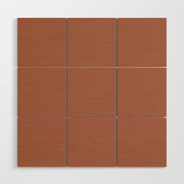 Muted Auburn Terracotta Clay Solid  Wood Wall Art Gallery Image 1